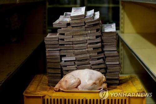 닭 한마리 사기 위한 베네수엘라 화폐량 [연합뉴스 제공]