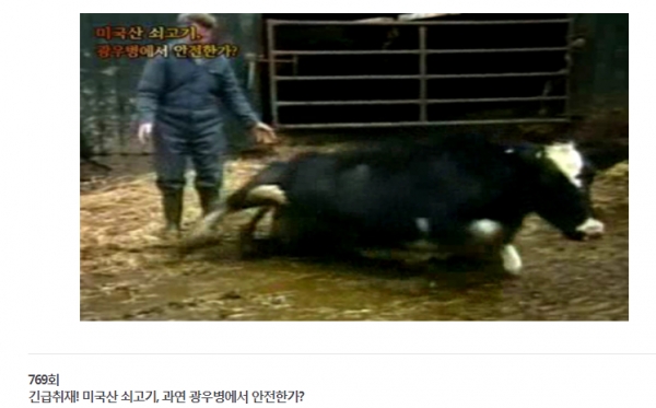 MBC PD수첩 '미국산 쇠고기, 과연 광우병에서 안전한가'