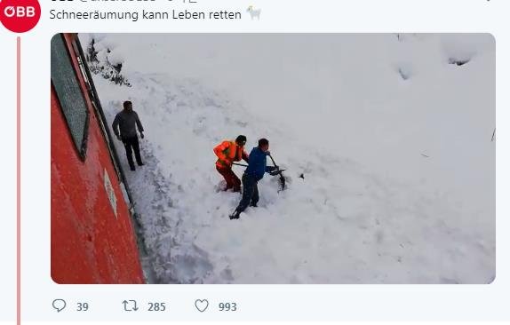오스트리아에서 폭설에 묻혀 자칫 죽을 뻔했던 산양이 지나가던 열차의 기관사들 덕분에 구조됐다고 DPA통신이 9일(현지시간) 전했다. (사진 = 연합뉴스)