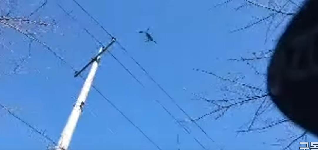 성주 사드기지에 식료품을 전달하는 헬기의 모습이(육로 수송 불가로) 펜앤드마이크 카메라에 잡혔다.
