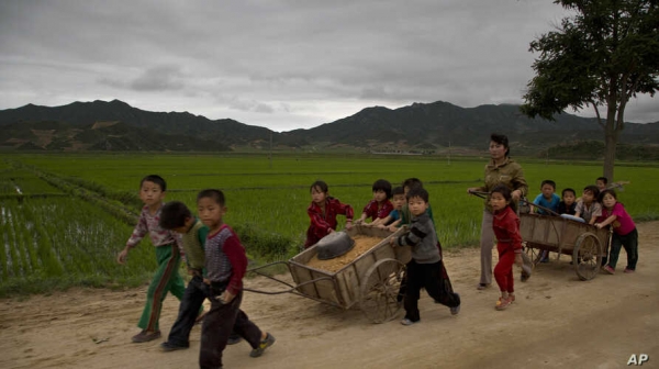 2014년 함경북도에서 어린이들이 도로보수 작업을 하고 있다(VOA)