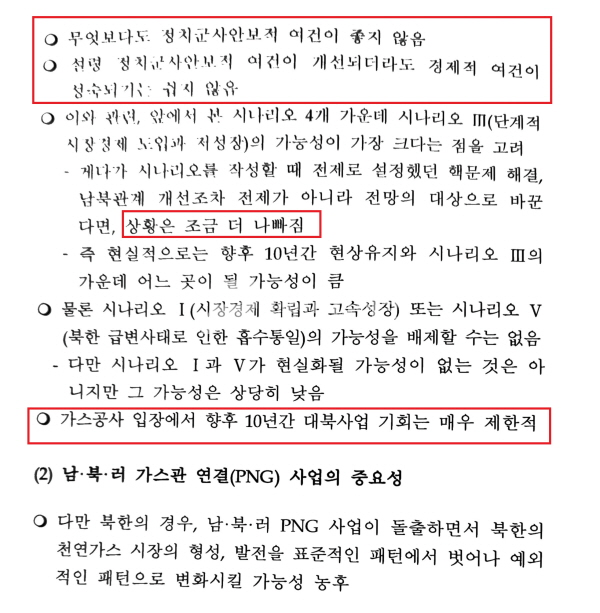 펜앤드마이크가 확인한 한국가스공사의 'PNG 관련 보고서' 일부. 2021.02.14(사진=조주형 기자)