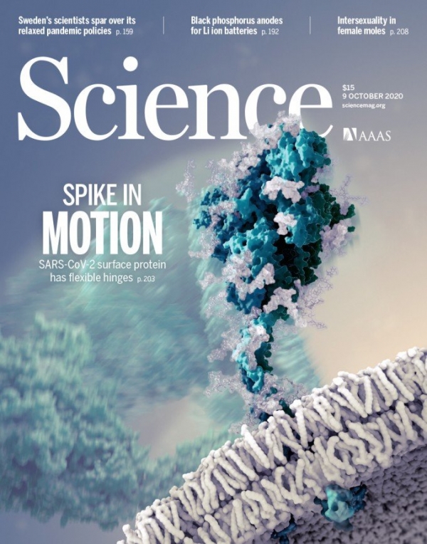 지난해 10월 ‘사이언스’지는 스파이크 단백질을 감싸고 있는 ‘글리칸’을 발견한 독일연구팀의 연구를 게재했다. 푸른 스파이크 단백질을 둘러싼 하얀 물질이 글리칸이다. [사진=사이어스 표지 캡처]