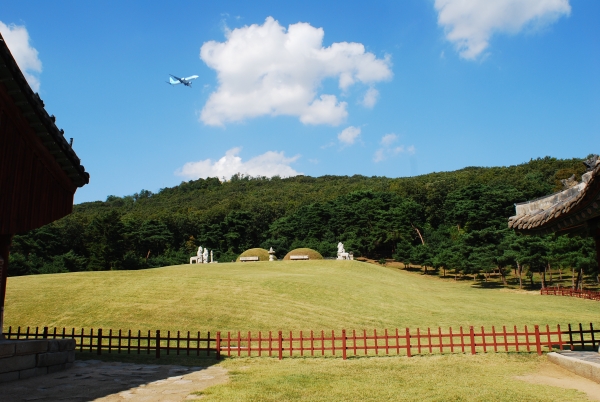 김포 장릉 위로는 항공사 식별이 가능할 정도로 비행기가 낮게, 자주 지나간다.