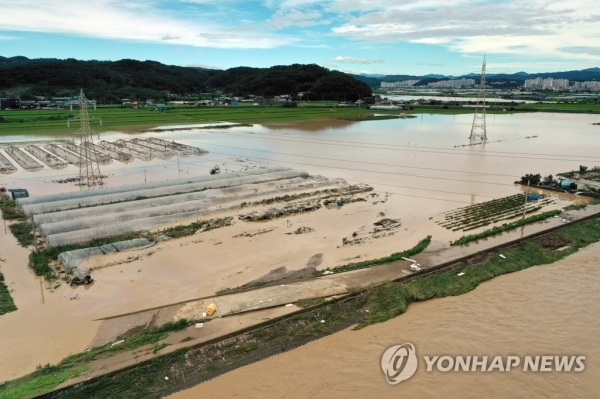 6일 경북 포항시의 농경지가 태풍 폭우로 잠겼다(사진=연합뉴스)