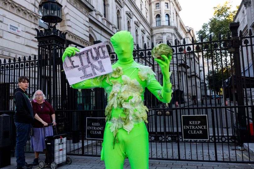 어느 한 영국인이 녹색 쫄쫄이 옷을 입고 '양상추에 걸겠다'는 종이 쪽지와 양상추를 든 채 영국 총리 관저 앞에서 일인시위를 벌이고 있는 모습. [사진=영국 데일리스타]