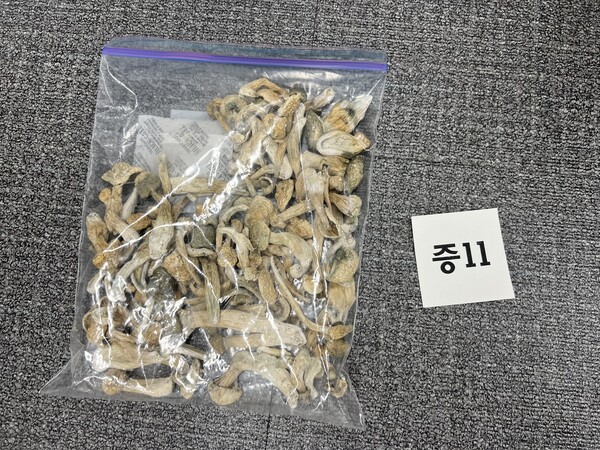 지퍼백에 담긴 말린 환각 버섯