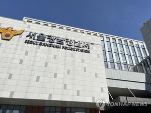 일본인 母女 이어 또...캐나다인, <b>강남</b>서 <b>음주운전</b> 차에 치여 숨져