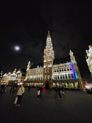 [천영식의 유럽도시기행㉝ 브뤼셀㊦] 길드하우스가 왕궁보다 더 화려..... - 뉴스 썸네일 이미지